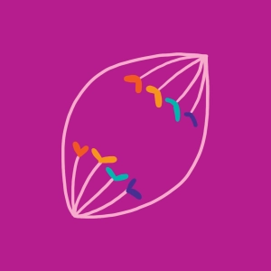 La mitosis