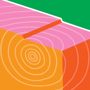 Seismic waves