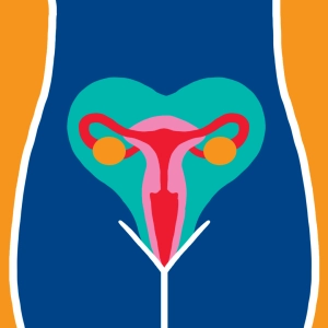 Cycle menstruel #2