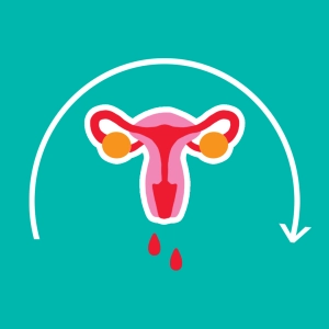 Ciclo menstrual