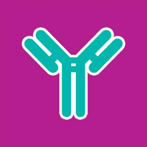Antibodies