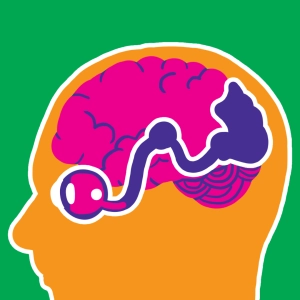 From the eye to the brain