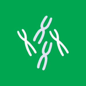 interchromosomale Rekombination
