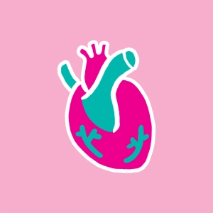Anatomie des Herzens