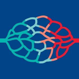 Circulación sanguínea
