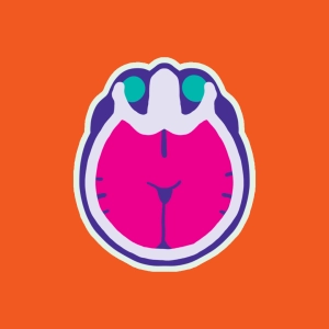 CT-Scan des Gehirns
