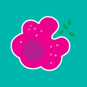Phagocytose