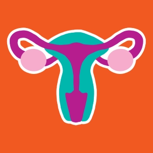 Test: El sistema reproductor femenino