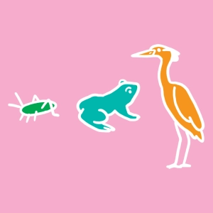 Pond ecosystem (trophic relationship)