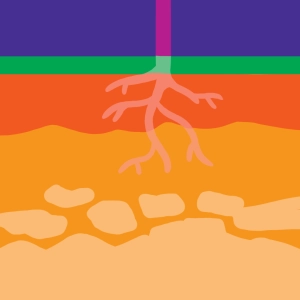 Bodenformation