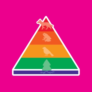 Pyramides écologiques