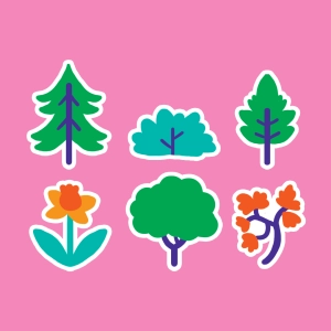 Classification of plants