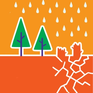 Érosion et déforestation