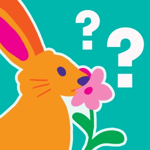 The role of chance in evolution