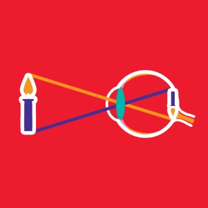 L'oeil (image inversée)