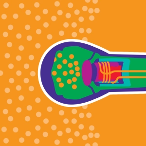 Video: Dynamic microphone