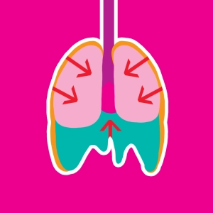 Video: Movimientos respiratorios