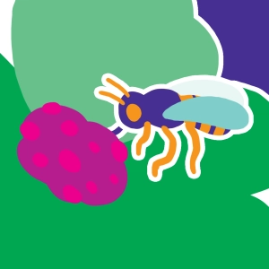 Vidéo : Pollinisation