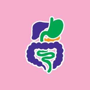 Vidéo : La digestion