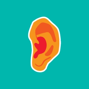 Video: The Ear