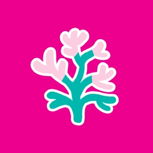 Video: Coral whitening