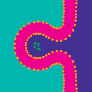 Exocytose - Endocytose